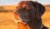CE85BE47-4B3A-40A1-ABEF-6674FC71B588.jpeg