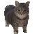 oia-uia.gif