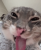 Screenshot 2025-10-20 at 10.43.48 pm.png